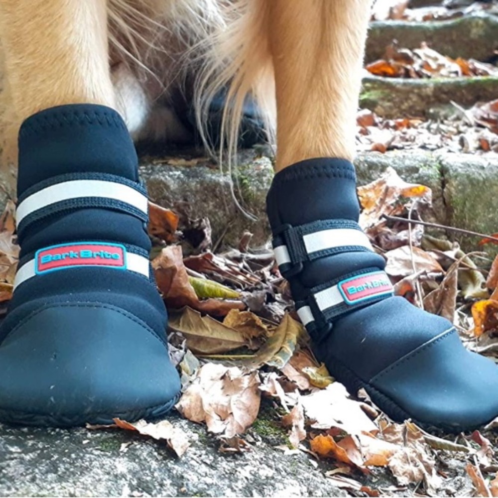 Dog Boots (L)